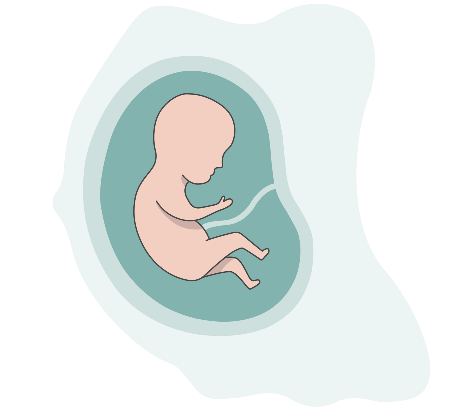Folsäure Baby Schwangerschaft Geburtsfehler